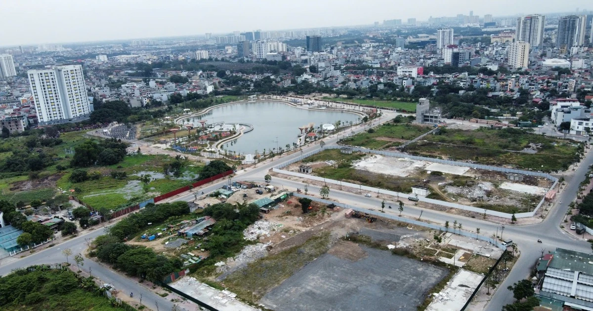 Hà Nội giao hơn 117.000 m² đất cho An Binh Phát xây nhà ở xã hội tại Long Biên